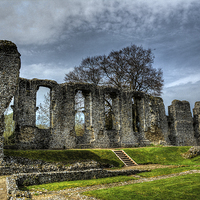 Buy canvas prints of bishops waltham palace ruin by nick wastie