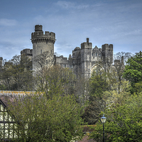 Buy canvas prints of Arundel castle by nick wastie
