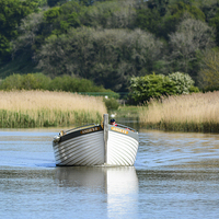 Buy canvas prints of Arundel wetlands boating by nick wastie