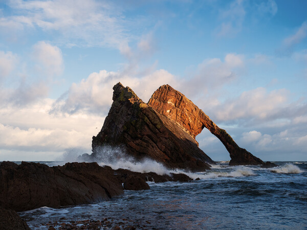 Bow Fiddle Rock, Portknockie. Picture Board by Tommy Dickson