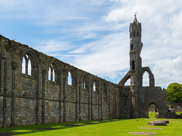 St Andrews Cathedral Picture Board by Tommy Dickson