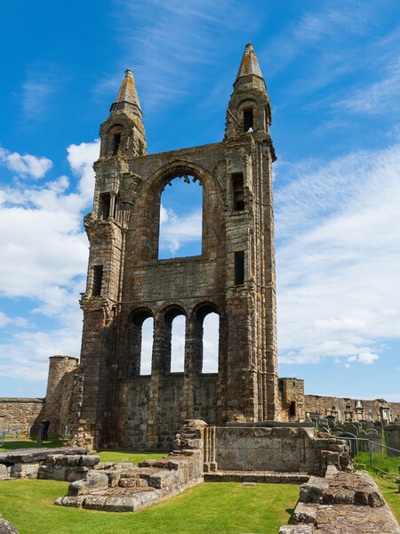 St Andrews Cathedral Ruins Picture Board by Tommy Dickson