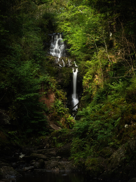 Little Fawn Waterfall, Aberfoyle. Picture Board by Tommy Dickson