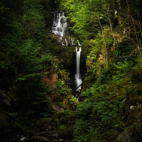 Buy canvas prints of Little Fawn Waterfall, Aberfoyle. by Tommy Dickson