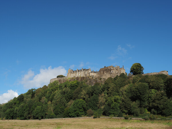 Stirling Castle, Scotland.  Picture Board by Tommy Dickson