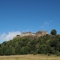 Buy canvas prints of Stirling Castle, Scotland.  by Tommy Dickson