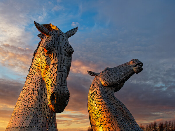 The Kelpies, Falkirk at sunset. Picture Board by Tommy Dickson