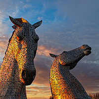 Buy canvas prints of The Kelpies, Falkirk at sunset. by Tommy Dickson