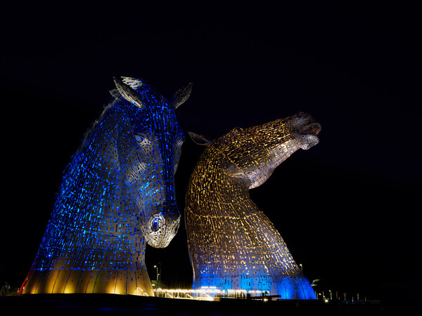 The Kelpies at night. Picture Board by Tommy Dickson