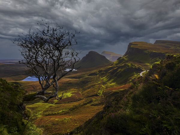 The Quiraing, Isle Of Skye.  Picture Board by Tommy Dickson