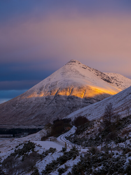Beinn Dorain in beautiful morning light. Picture Board by Tommy Dickson