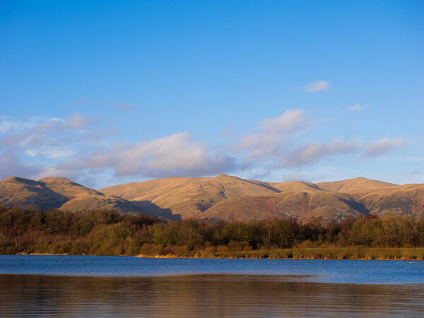 The Ochil Hills from Gartmorn. Picture Board by Tommy Dickson