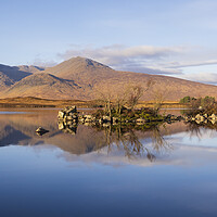 Buy canvas prints of Lochan Na H-Achlaise And Black Mount Panorama by Tommy Dickson