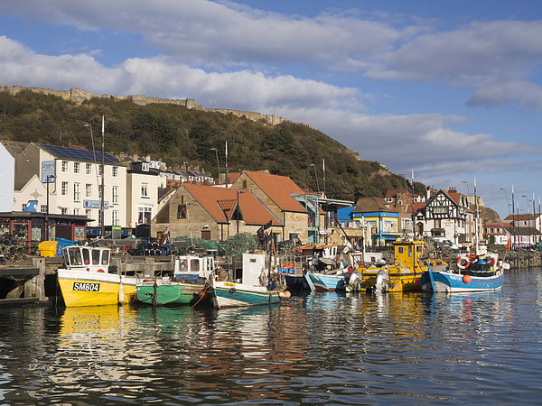 A Serene Escape Scarborough Harbour Picture Board by Tommy Dickson