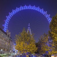 Buy canvas prints of Illuminated London Eye by Tommy Dickson