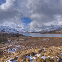 Buy canvas prints of Loch Arklet, Scotland. by Tommy Dickson