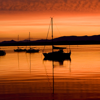 Buy canvas prints of Tranquility on the Firth of Forth by Tommy Dickson