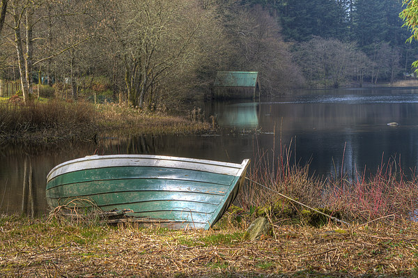 Loch Ard Boat And Boathouse Picture Board by Tommy Dickson