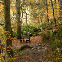 Buy canvas prints of Serenity in Autumn by Tommy Dickson