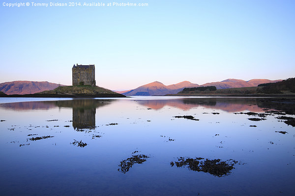 Castle Stalker, Scotland. Picture Board by Tommy Dickson