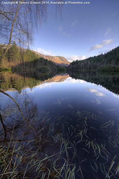 Tranquil Beauty of Glencoe Lochan Picture Board by Tommy Dickson