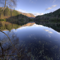 Buy canvas prints of Tranquil Beauty of Glencoe Lochan by Tommy Dickson