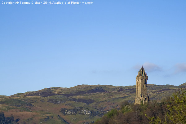 Majestic William Wallace Monument Picture Board by Tommy Dickson