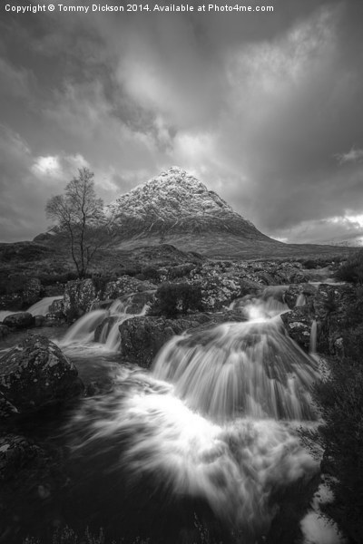 Buichaille Etive Mor Mono Picture Board by Tommy Dickson
