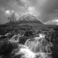 Buy canvas prints of Buichaille Etive Mor Mono by Tommy Dickson