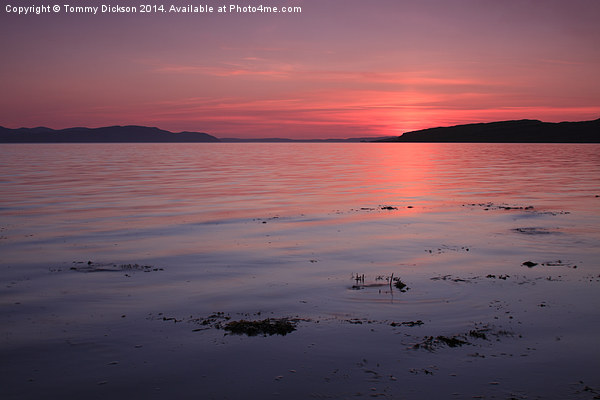 Tranquil Little Cumbrae Sunset Picture Board by Tommy Dickson