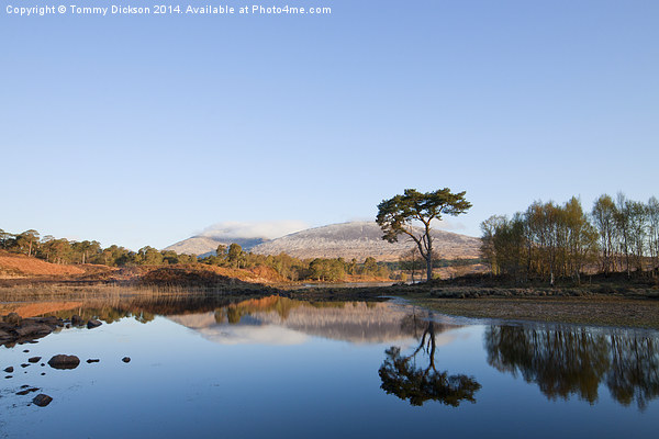 Serenity of Loch Tulla Picture Board by Tommy Dickson
