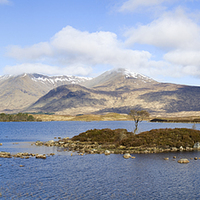 Buy canvas prints of Tranquil Waters of Rannoch Moor by Tommy Dickson