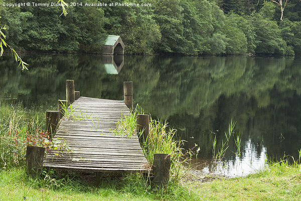 Tranquil Reflections at Loch Ard Picture Board by Tommy Dickson
