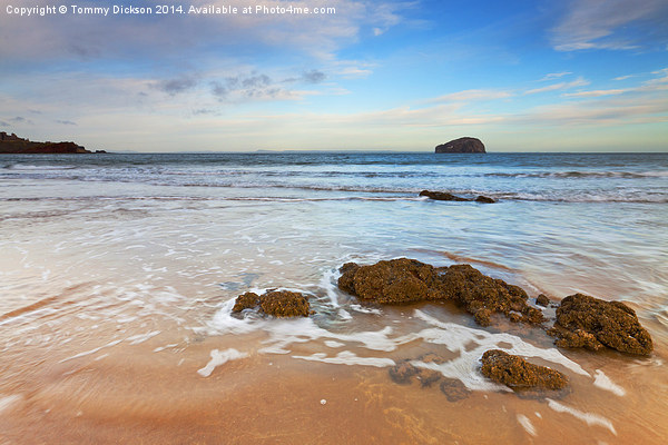 Bass Rock From Seacliff Beach, Scotland. Picture Board by Tommy Dickson