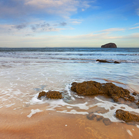 Buy canvas prints of Bass Rock From Seacliff Beach, Scotland. by Tommy Dickson
