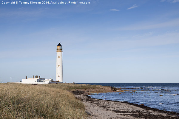 Illuminating the East Coast Picture Board by Tommy Dickson