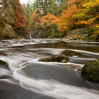 Buy canvas prints of Dunkeld Hermitage. by Tommy Dickson