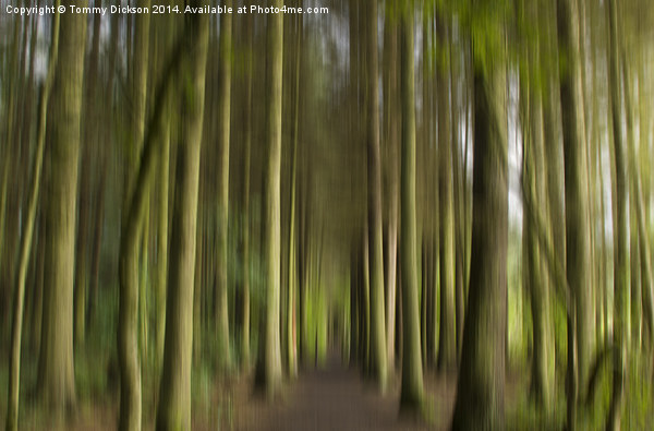 Forest Path Abstract Picture Board by Tommy Dickson