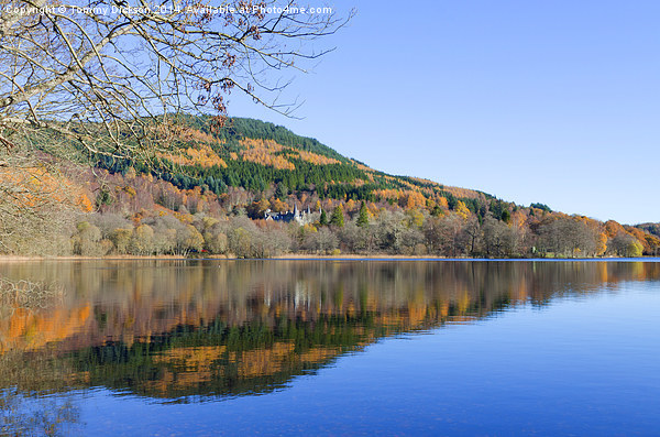 Loch Achray, Scotland. Picture Board by Tommy Dickson