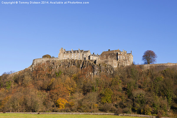 Majestic Stirling Castle in Autumn Picture Board by Tommy Dickson