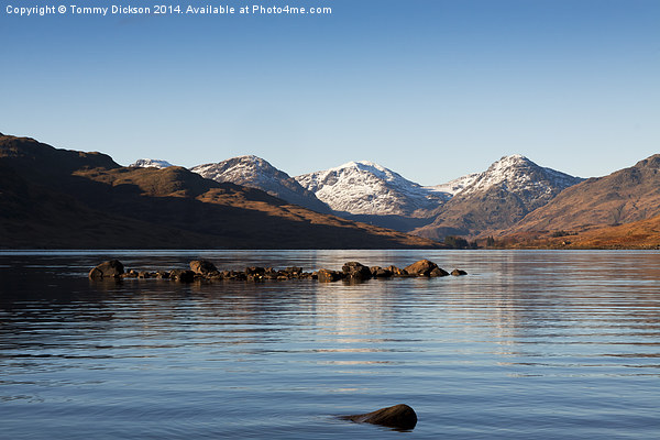 Arrochar Alps Reflected on Loch Arklet Picture Board by Tommy Dickson