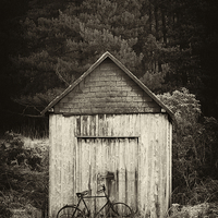 Buy canvas prints of Rustic Abandonment by Tommy Dickson