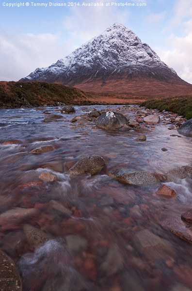 Majestic Buichaille Etive Mor in Winter Picture Board by Tommy Dickson