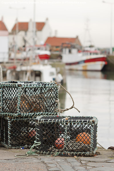 Pittenweem Harbour. Picture Board by Tommy Dickson