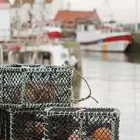 Buy canvas prints of Pittenweem Harbour. by Tommy Dickson