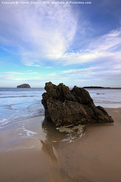 Bass Rock at Seacliff Beach Picture Board by Tommy Dickson