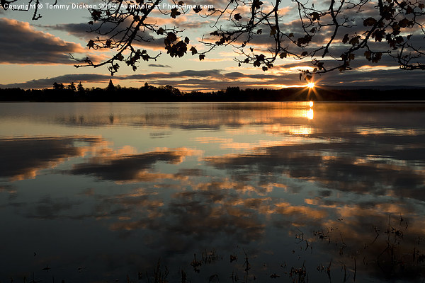 Serene Sunrise over Scottish Lake Picture Board by Tommy Dickson