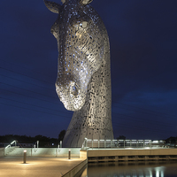 Buy canvas prints of Kelpie - Head Down. by Tommy Dickson