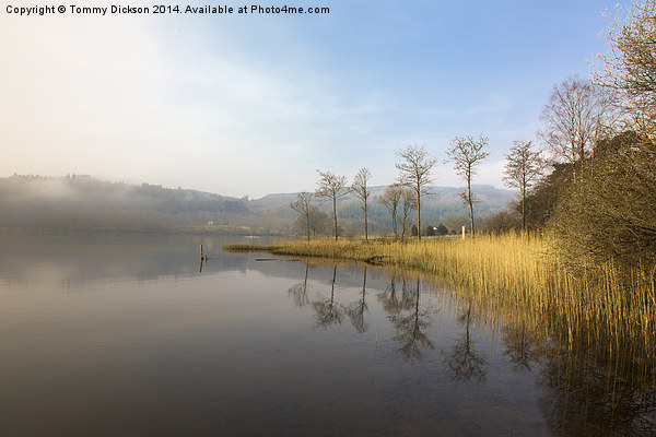 Mist on Loch Ard Picture Board by Tommy Dickson