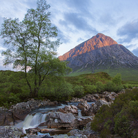 Buy canvas prints of Buachaille Etive Mor by Tommy Dickson